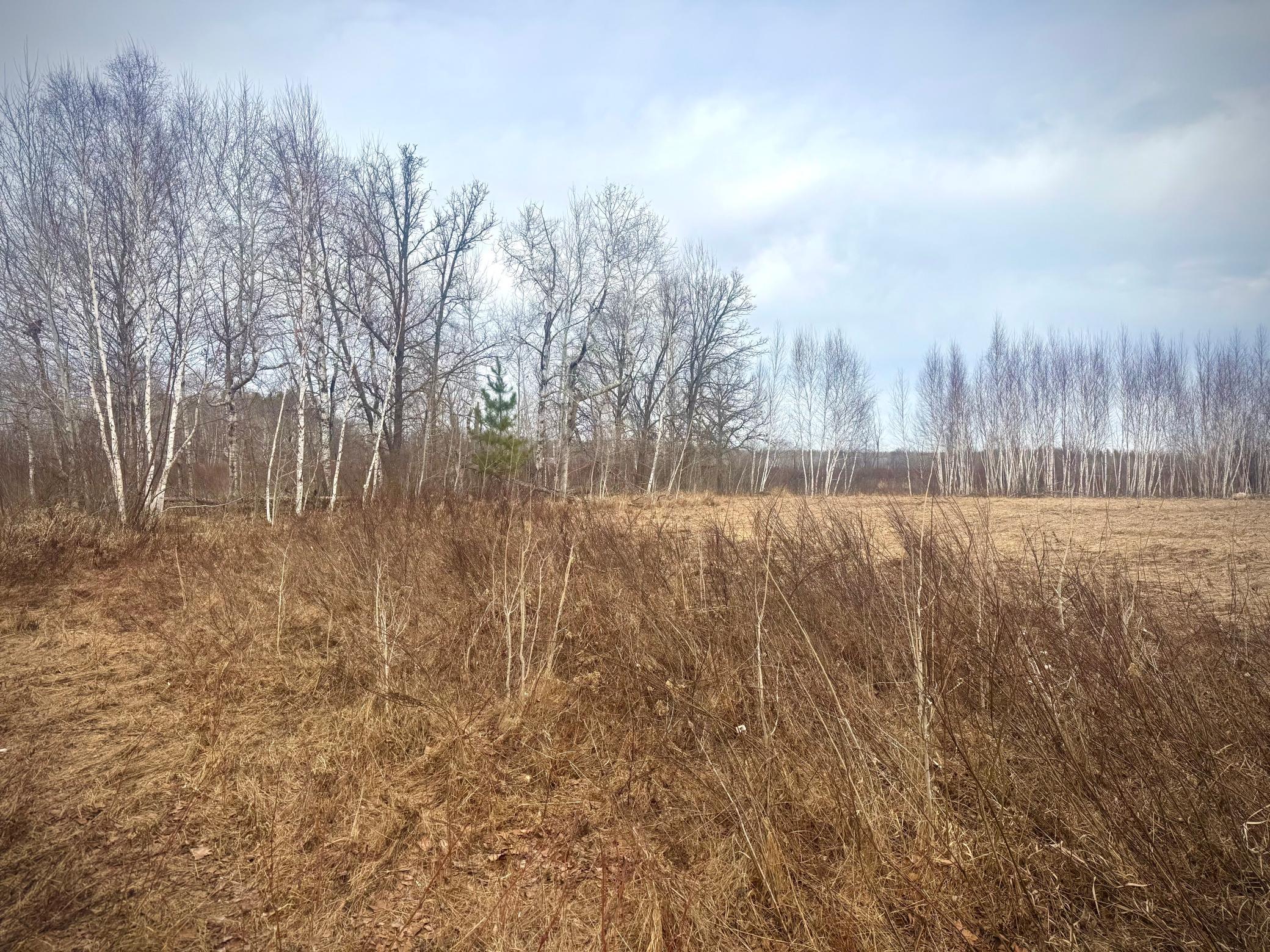 2022 Dixon Line Road Property Photo 21