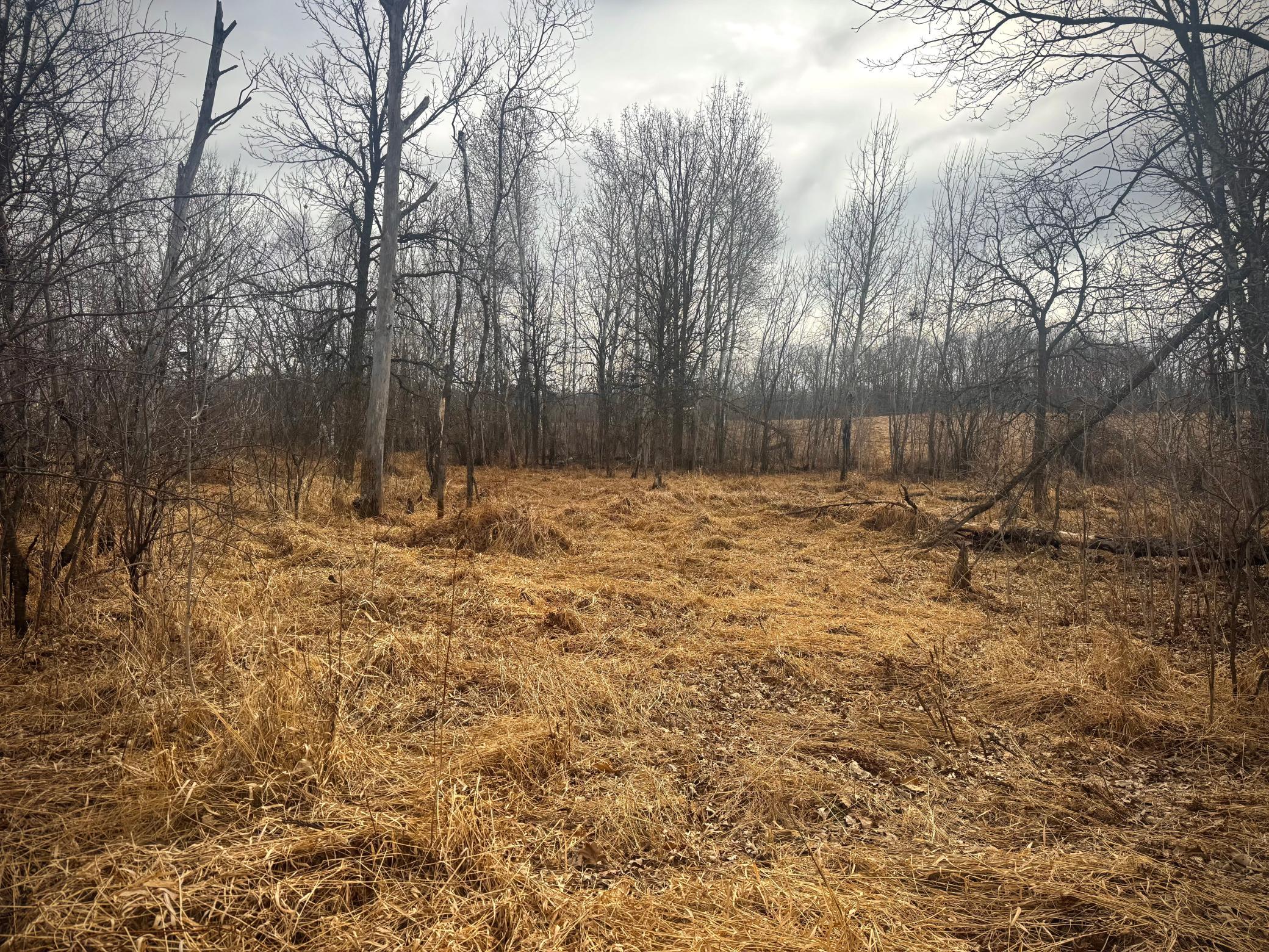 2022 Dixon Line Road Property Photo 23