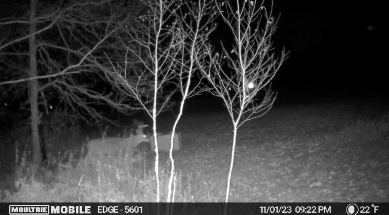 2022 Dixon Line Road Property Photo 25