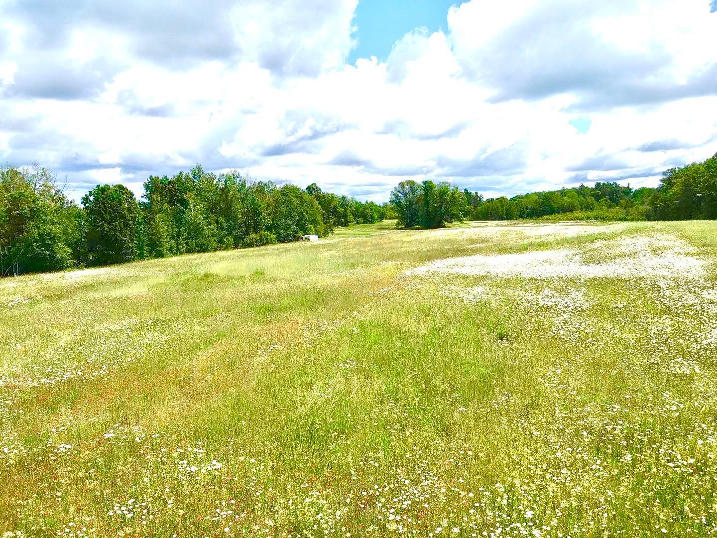 2022 Dixon Line Road Property Photo 27