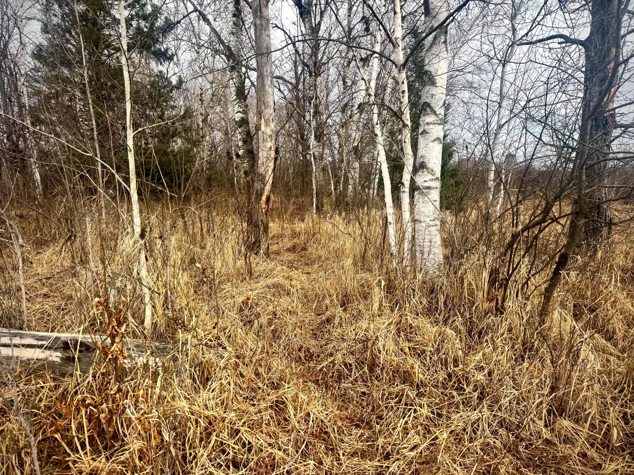 2022 Dixon Line Road Property Photo 28