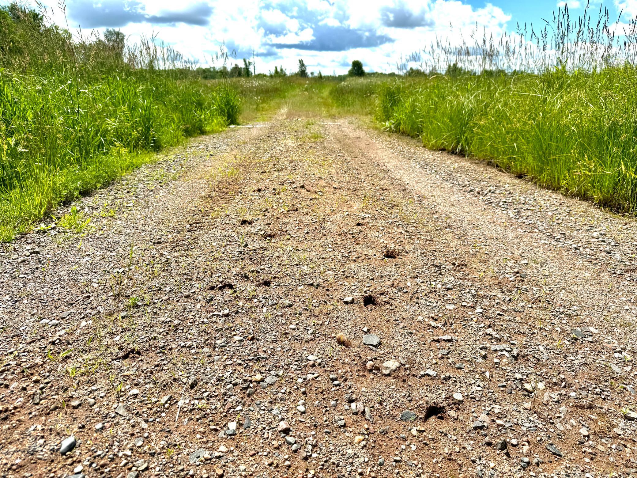 2022 Dixon Line Road Property Photo 39