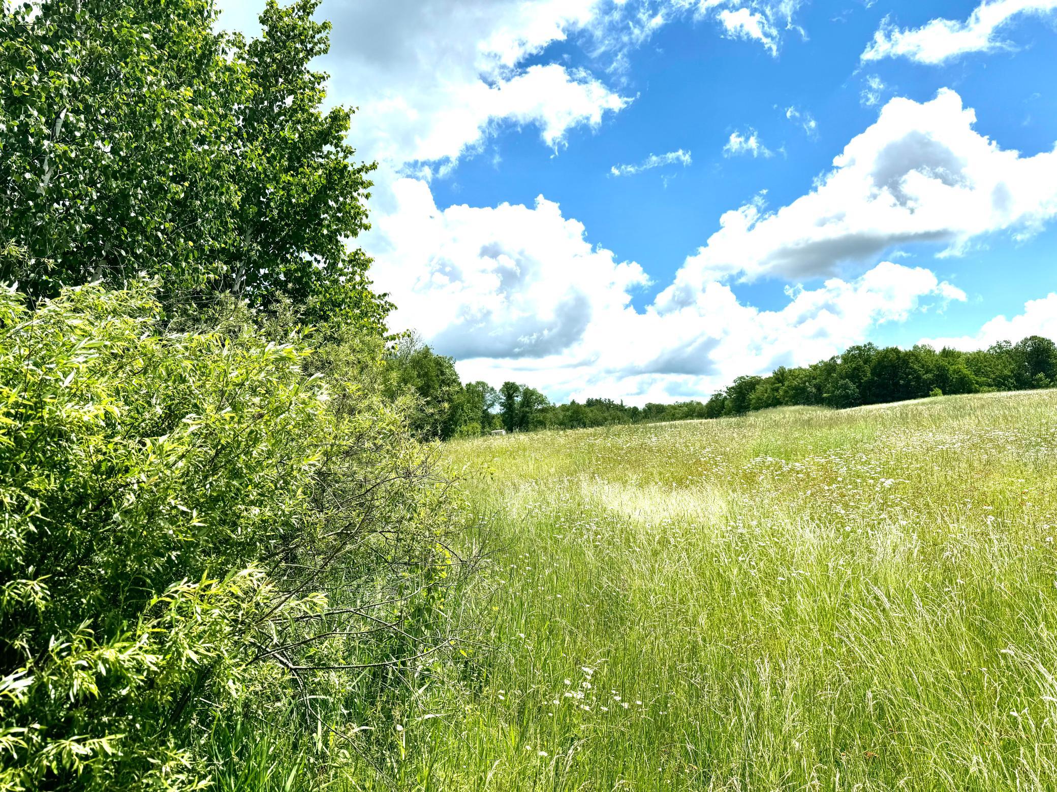 2022 Dixon Line Road Property Photo 40