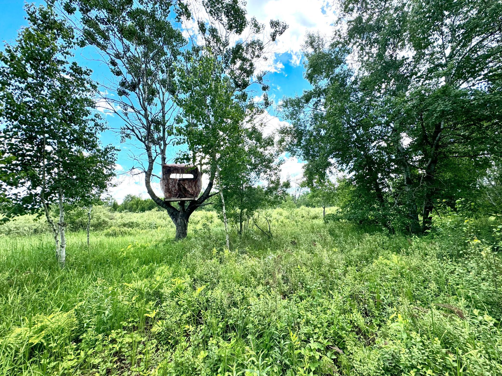 2022 Dixon Line Road Property Photo 43