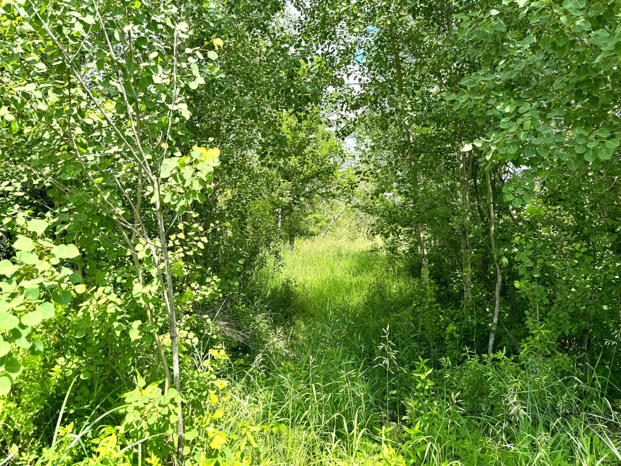 2022 Dixon Line Road Property Photo 47