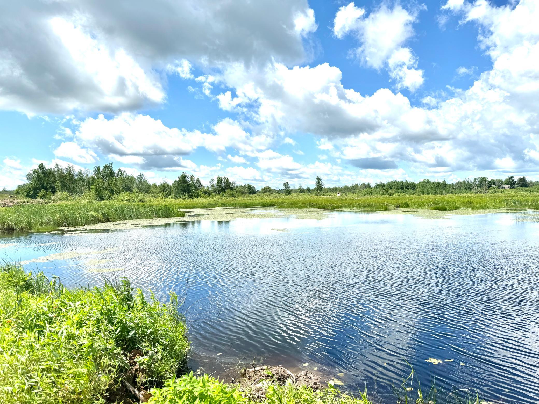 2022 Dixon Line Road Property Photo 48