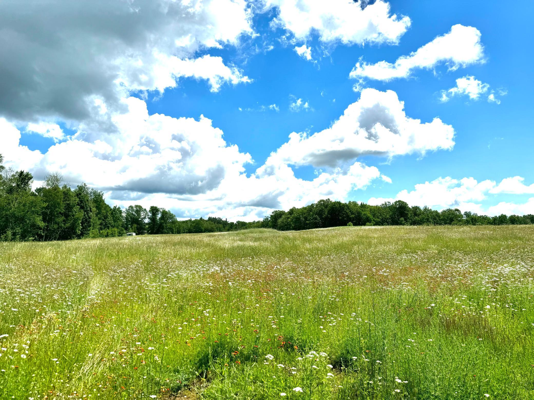 2022 Dixon Line Road Property Photo 49