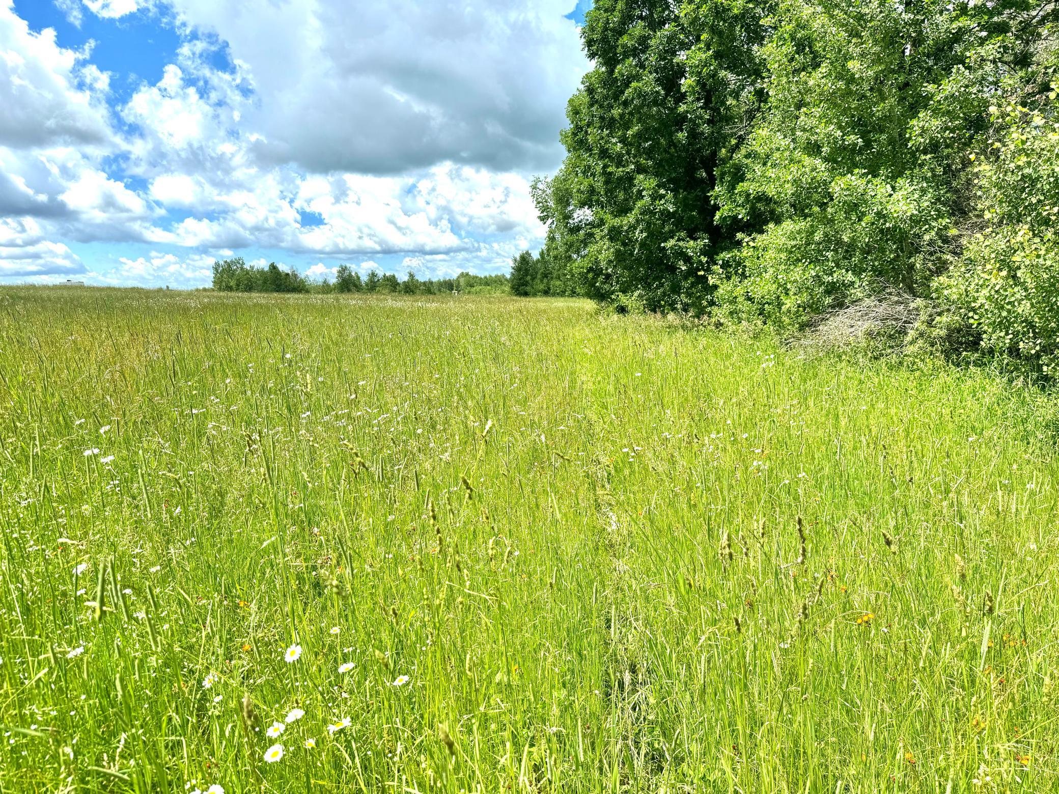 2022 Dixon Line Road Property Photo 50