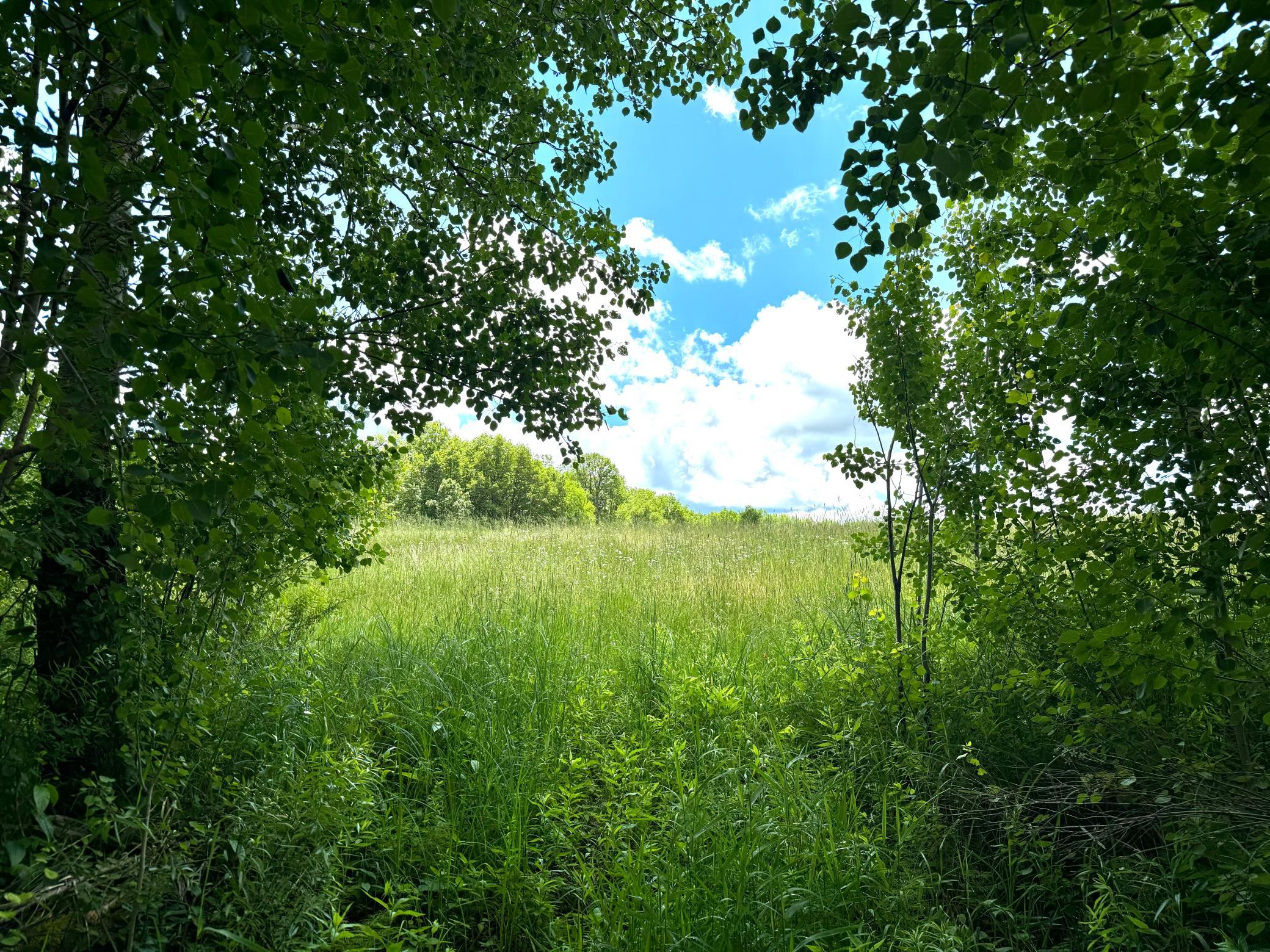 2022 Dixon Line Road Property Photo 52