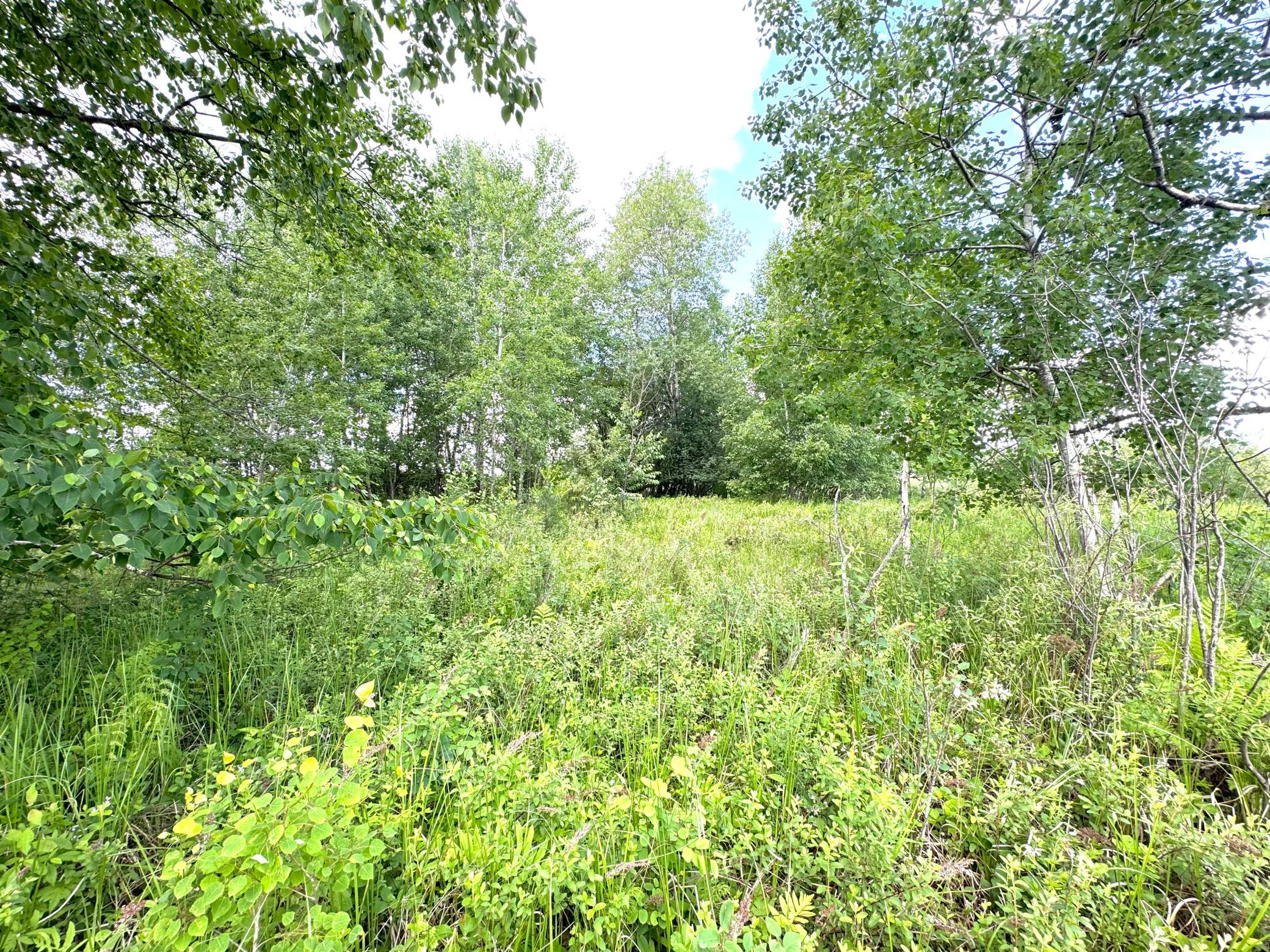 2022 Dixon Line Road Property Photo 53