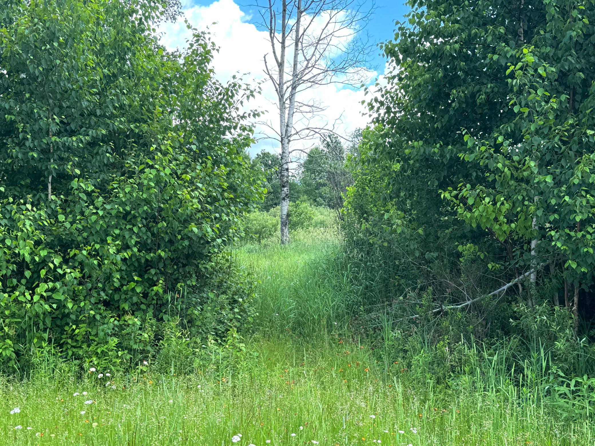 2022 Dixon Line Road Property Photo 55
