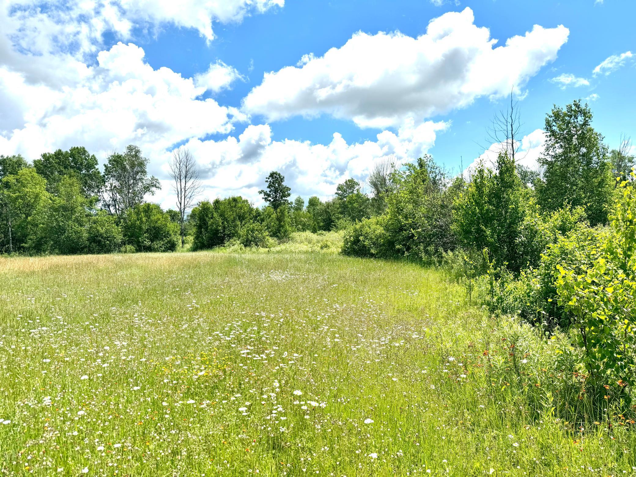 2022 Dixon Line Road Property Photo 61