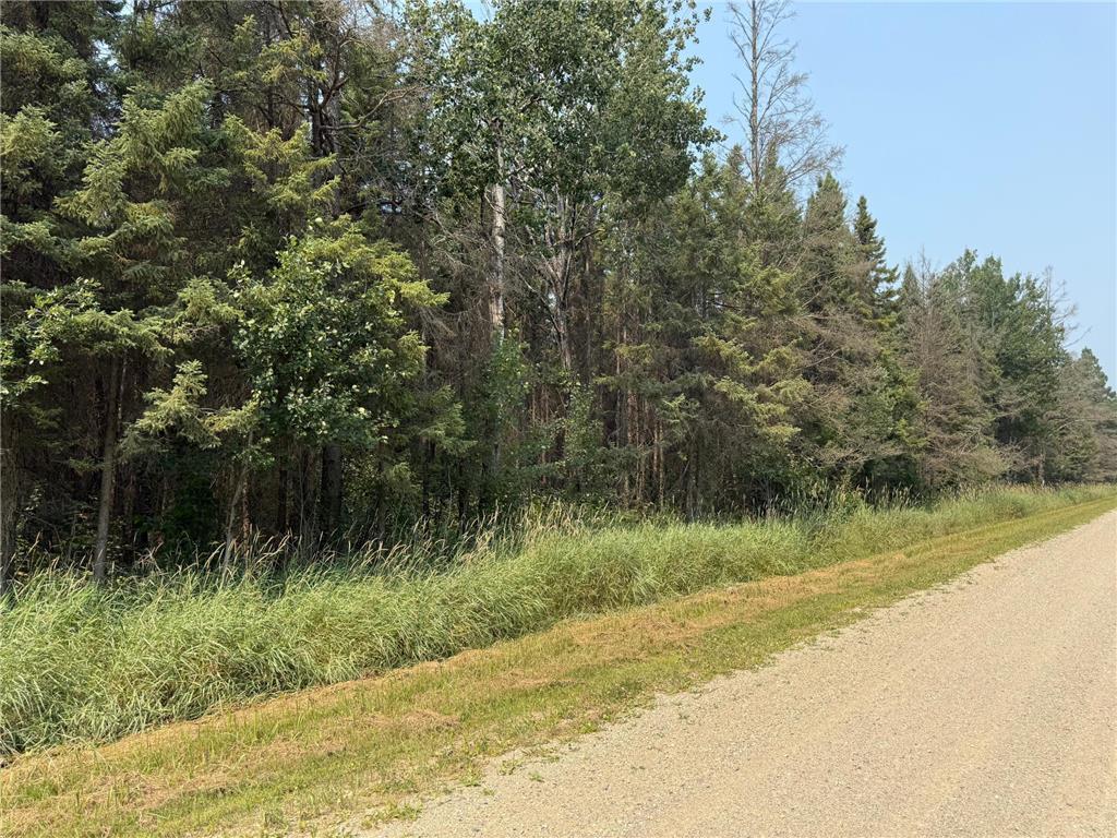 Tbd 40 Acres Sunflower Property Photo 2