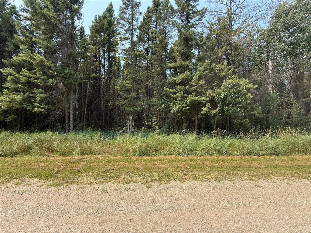 Tbd 40 Acres Sunflower Property Photo 3