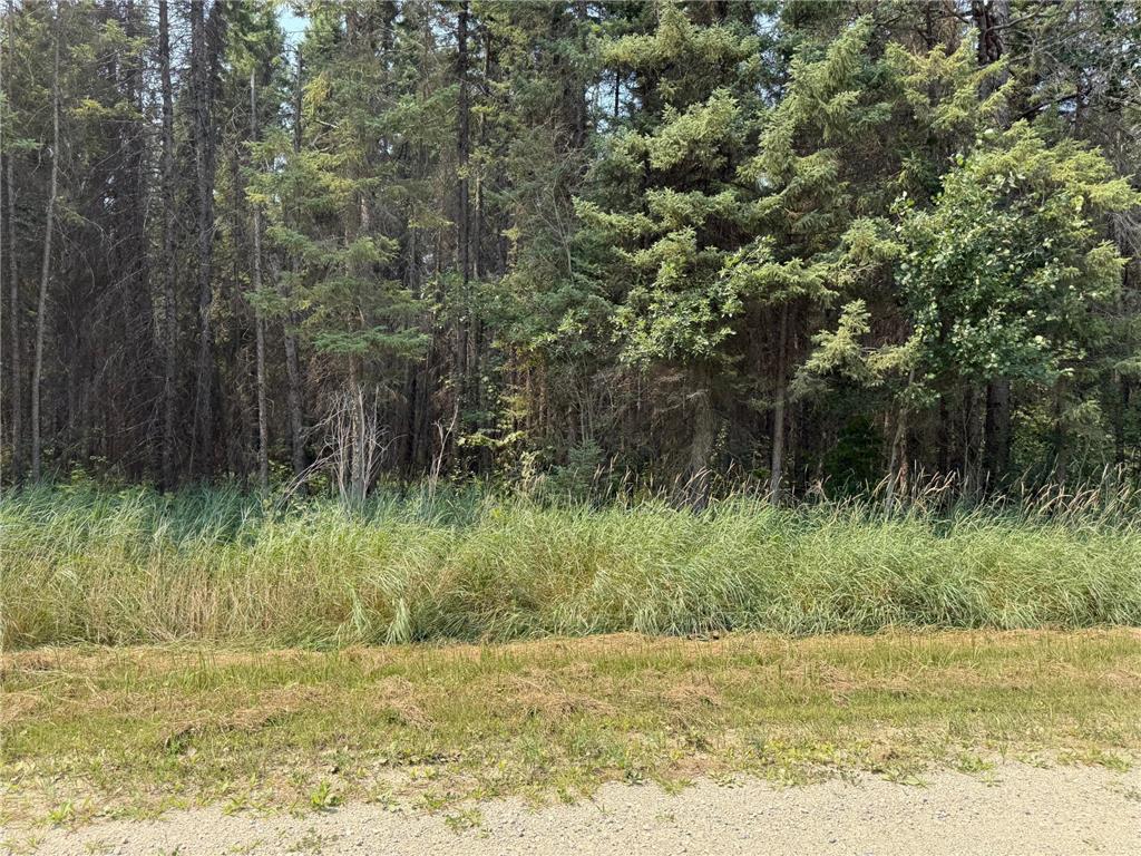 Tbd 40 Acres Sunflower Property Photo 4
