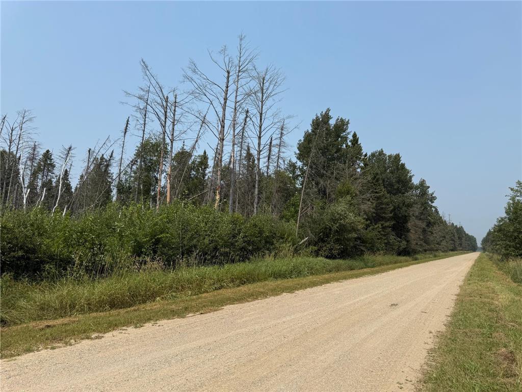 Tbd 40 Acres Sunflower Property Photo 5