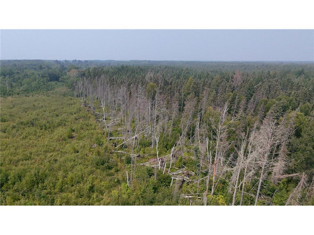 Tbd 40 Acres Sunflower Property Photo 6
