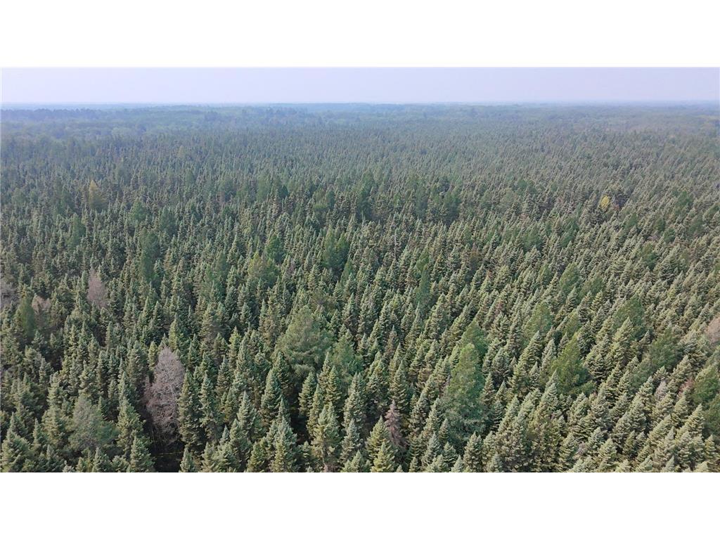 Tbd 40 Acres Sunflower Property Photo 7