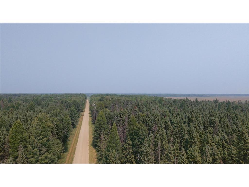 Tbd 40 Acres Sunflower Property Photo 9