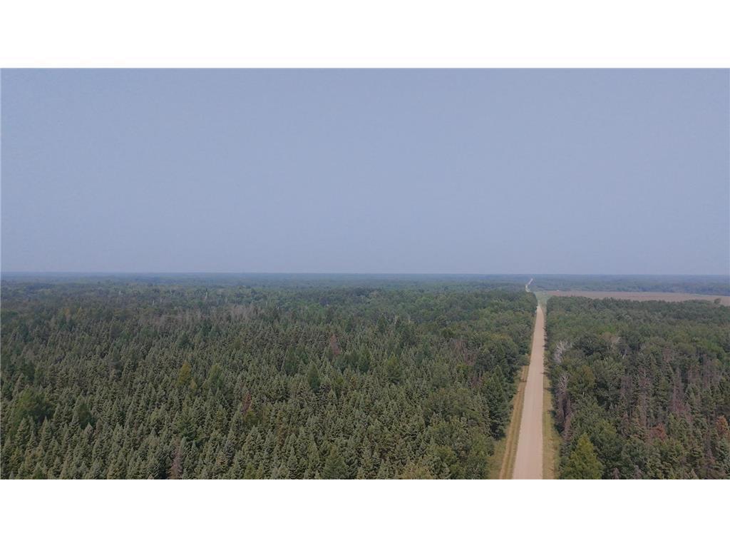 Tbd 40 Acres Sunflower Property Photo 11