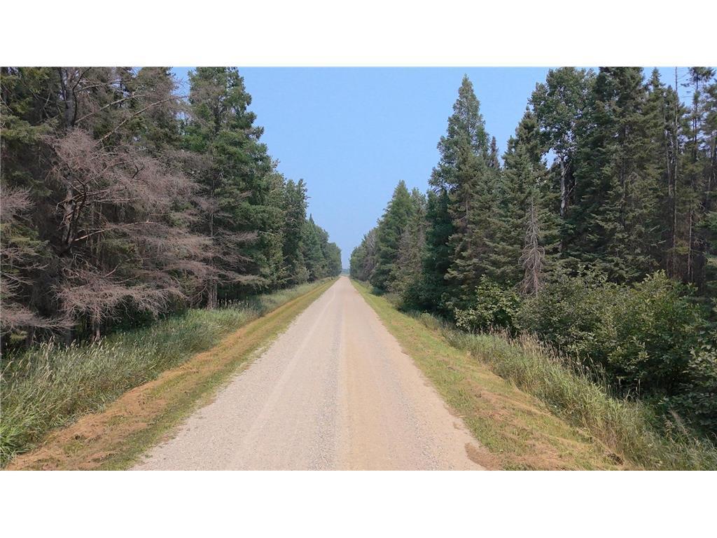 Tbd 40 Acres Sunflower Property Photo 12