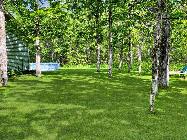 33843 Dancing Bear Drive Property Photo 35