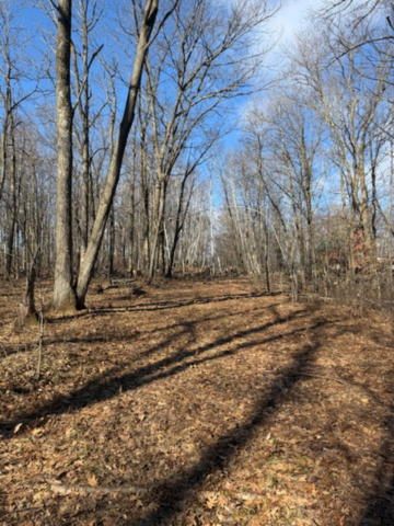 Tbd Woodchuck Trail Property Photo 1