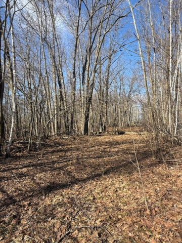 Tbd Woodchuck Trail Property Photo 3