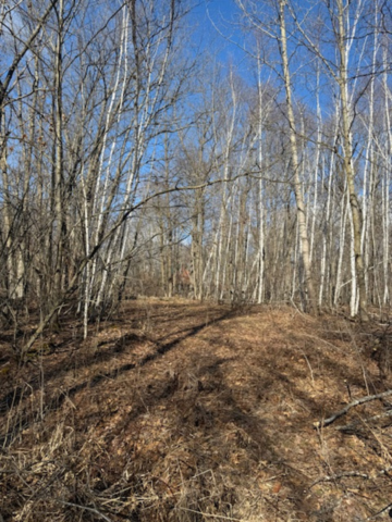 Tbd Woodchuck Trail Property Photo 4