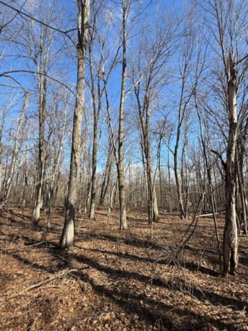Tbd Woodchuck Trail Property Photo 5
