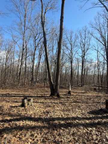 Tbd Woodchuck Trail Property Photo 6