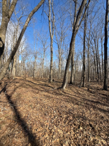 Tbd Woodchuck Trail Property Photo 7