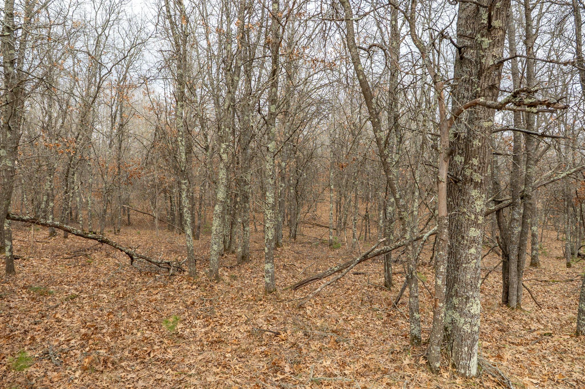 Lot 6 S Madison Avenue Property Photo 6