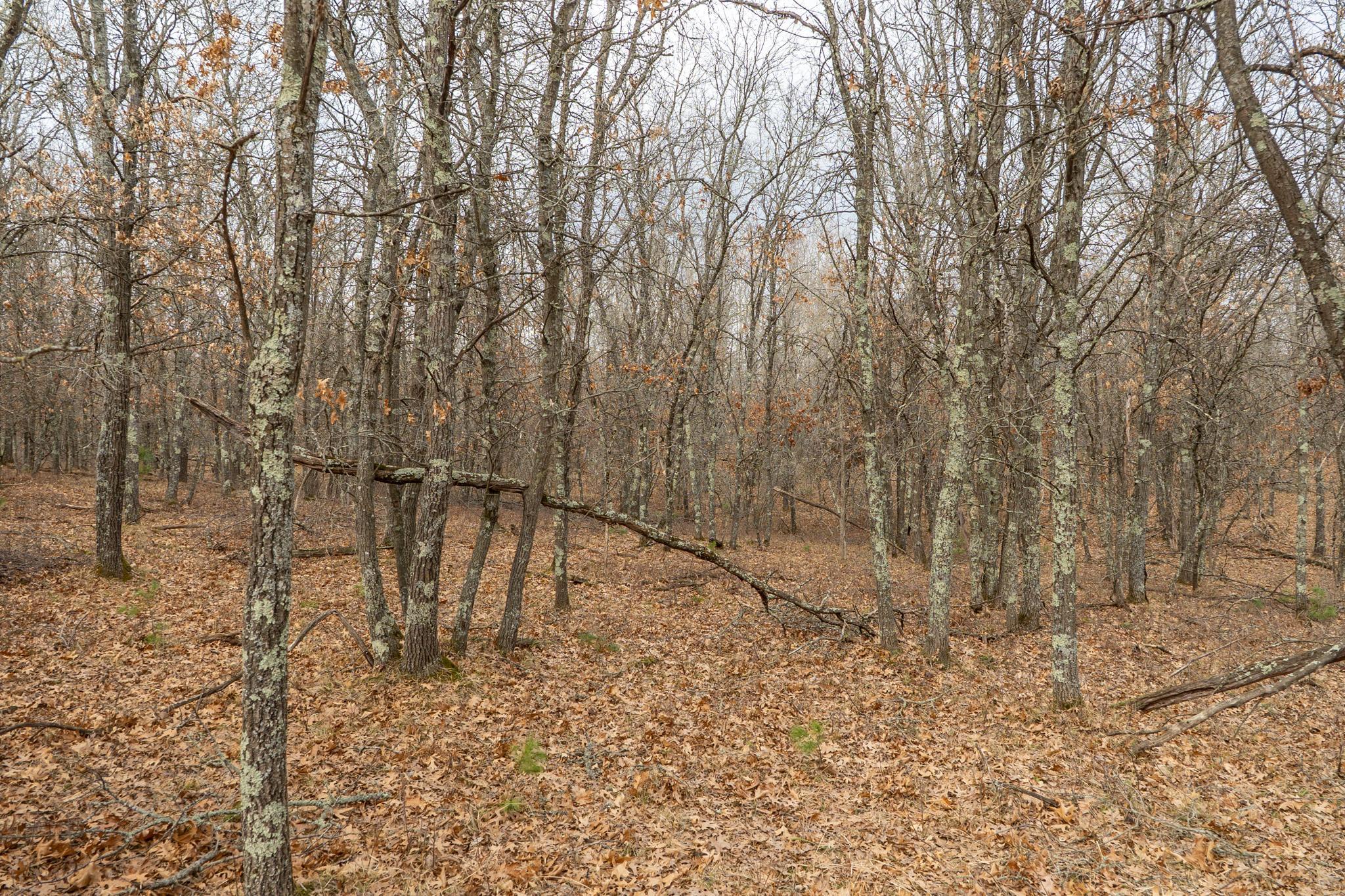 Lot 6 S Madison Avenue Property Photo 7