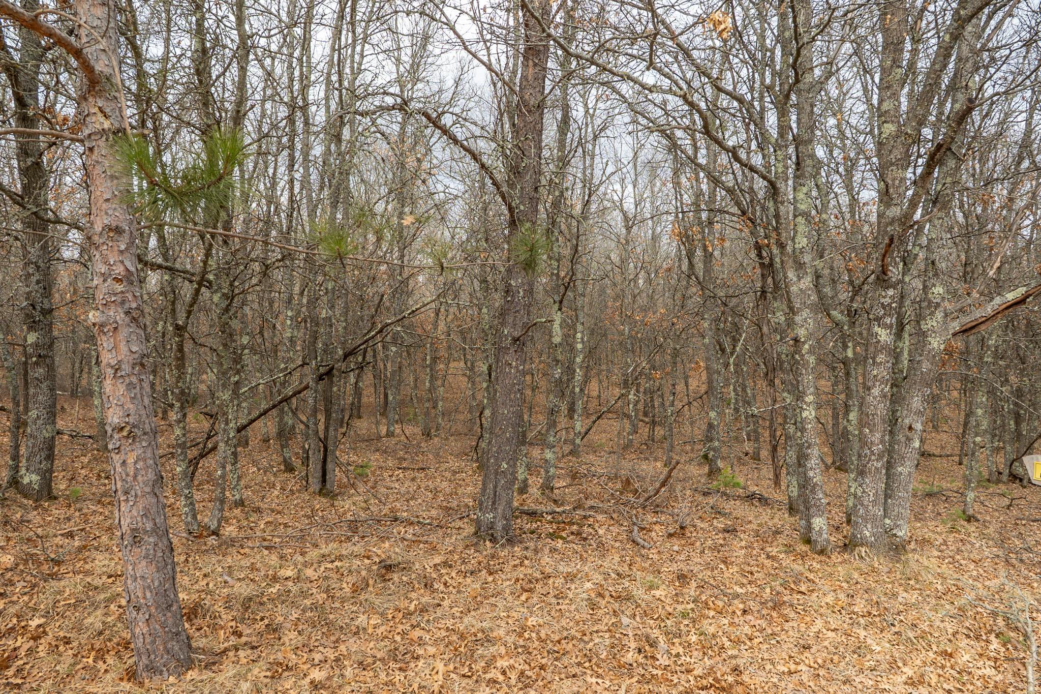 Lot 6 S Madison Avenue Property Photo 8