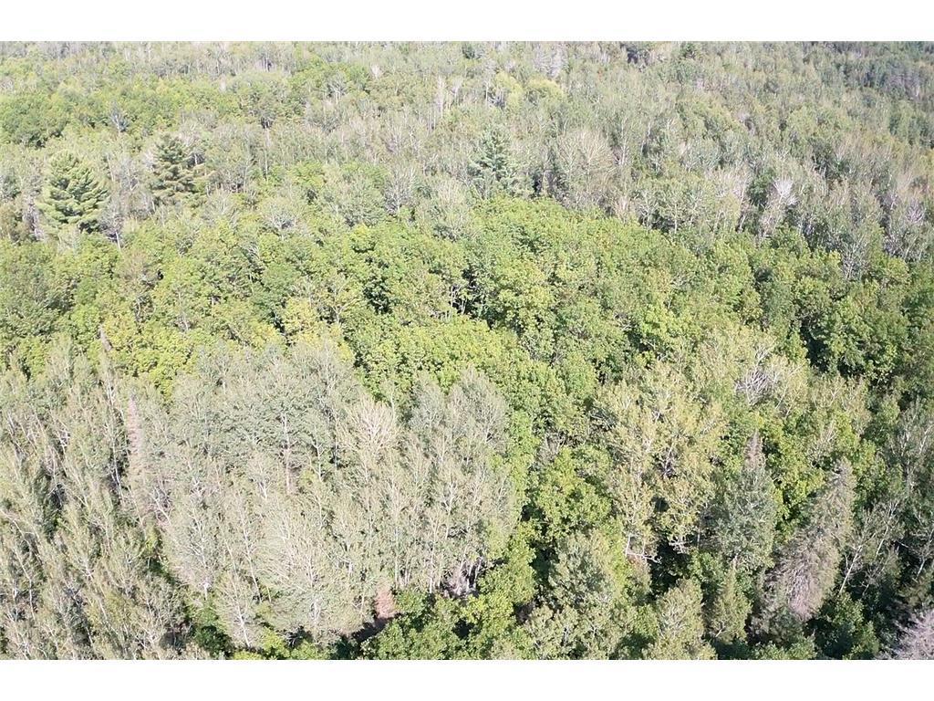 Xxx Highway 12 Property Photo 9