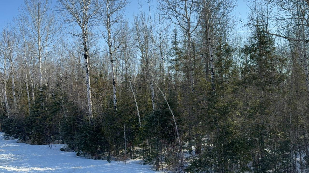 Xxx Highway 12 Property Photo 24
