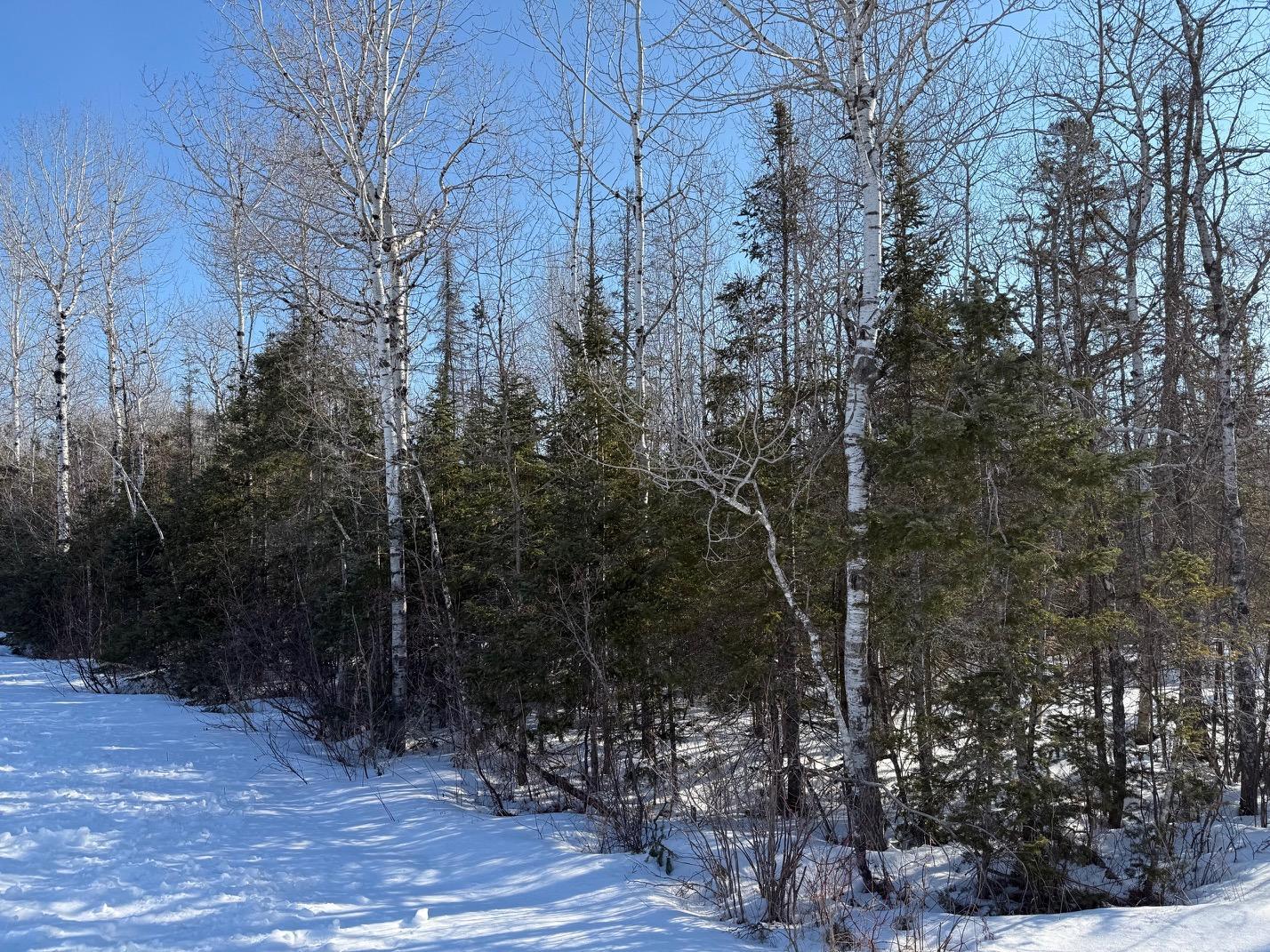 Xxx Highway 12 Property Photo 26