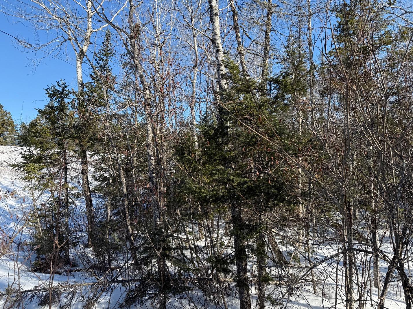 Xxx Highway 12 Property Photo 29