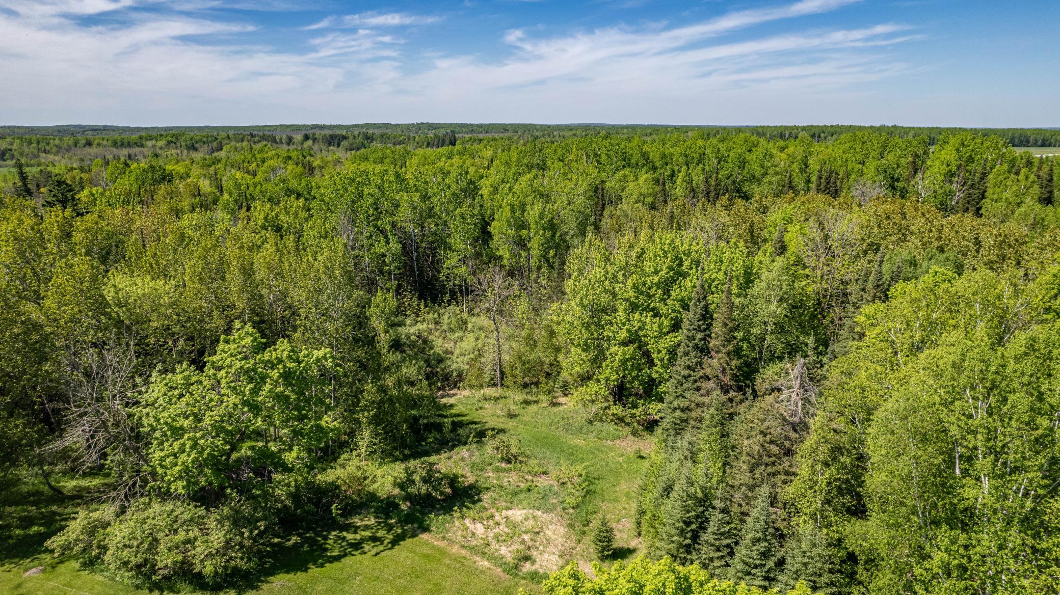 5265 Miller Trunk Highway Property Photo 4