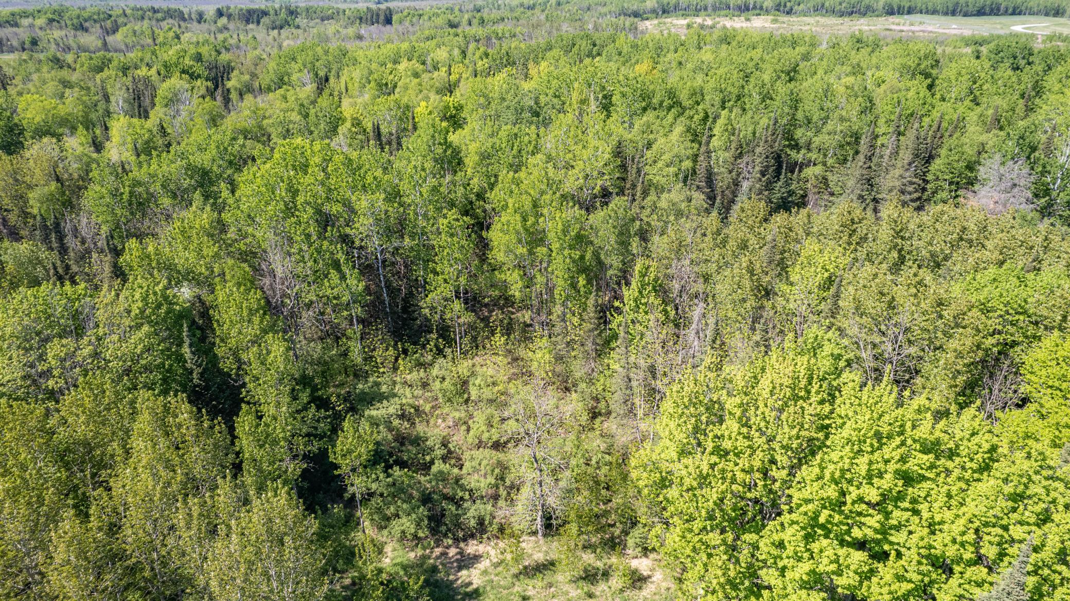5265 Miller Trunk Highway Property Photo 7