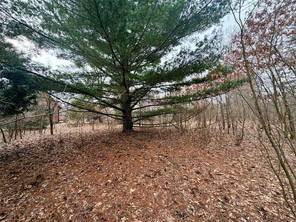 7646 196th Street Property Photo 4