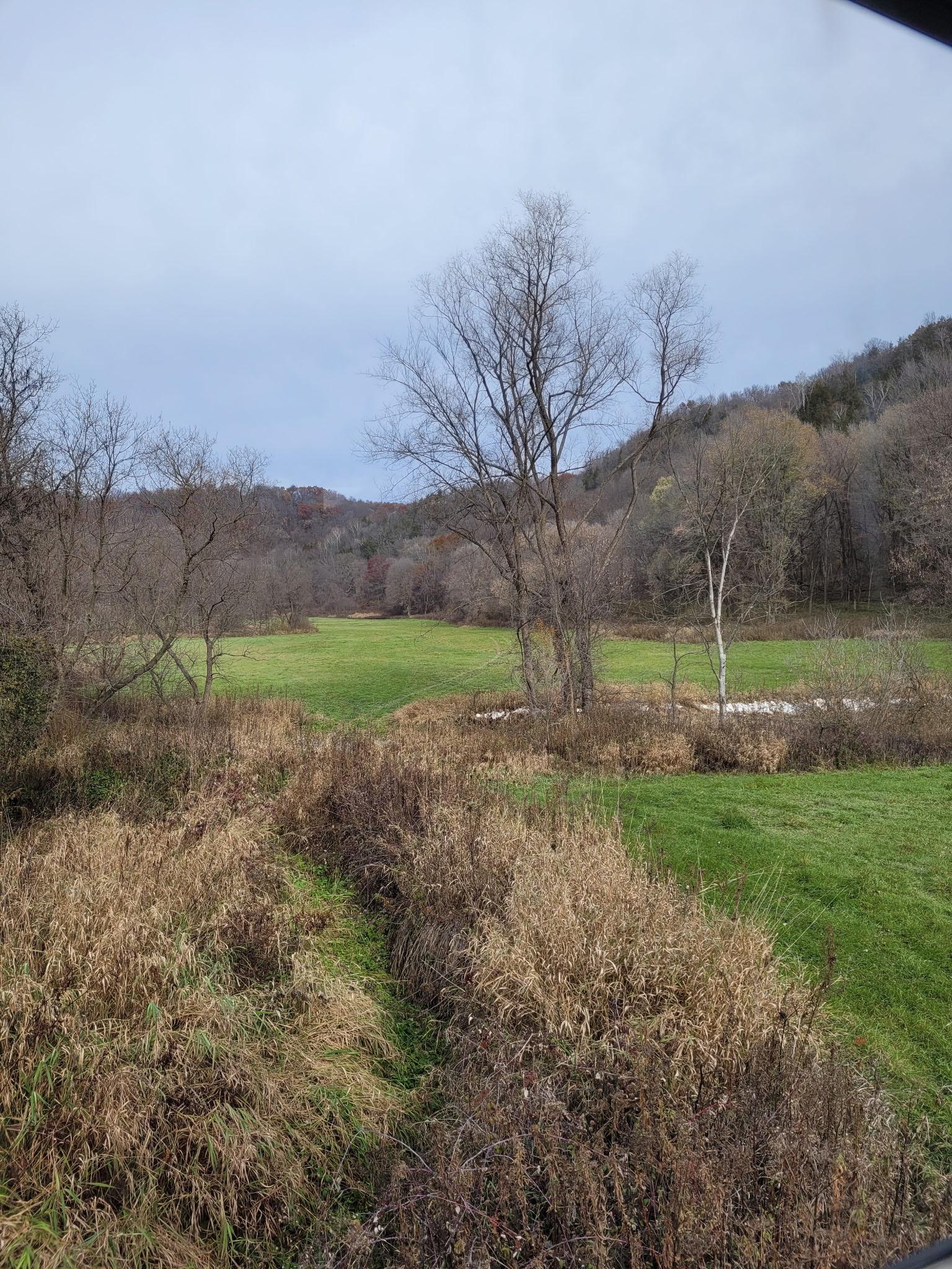 27333 Deep River Road Property Photo 1