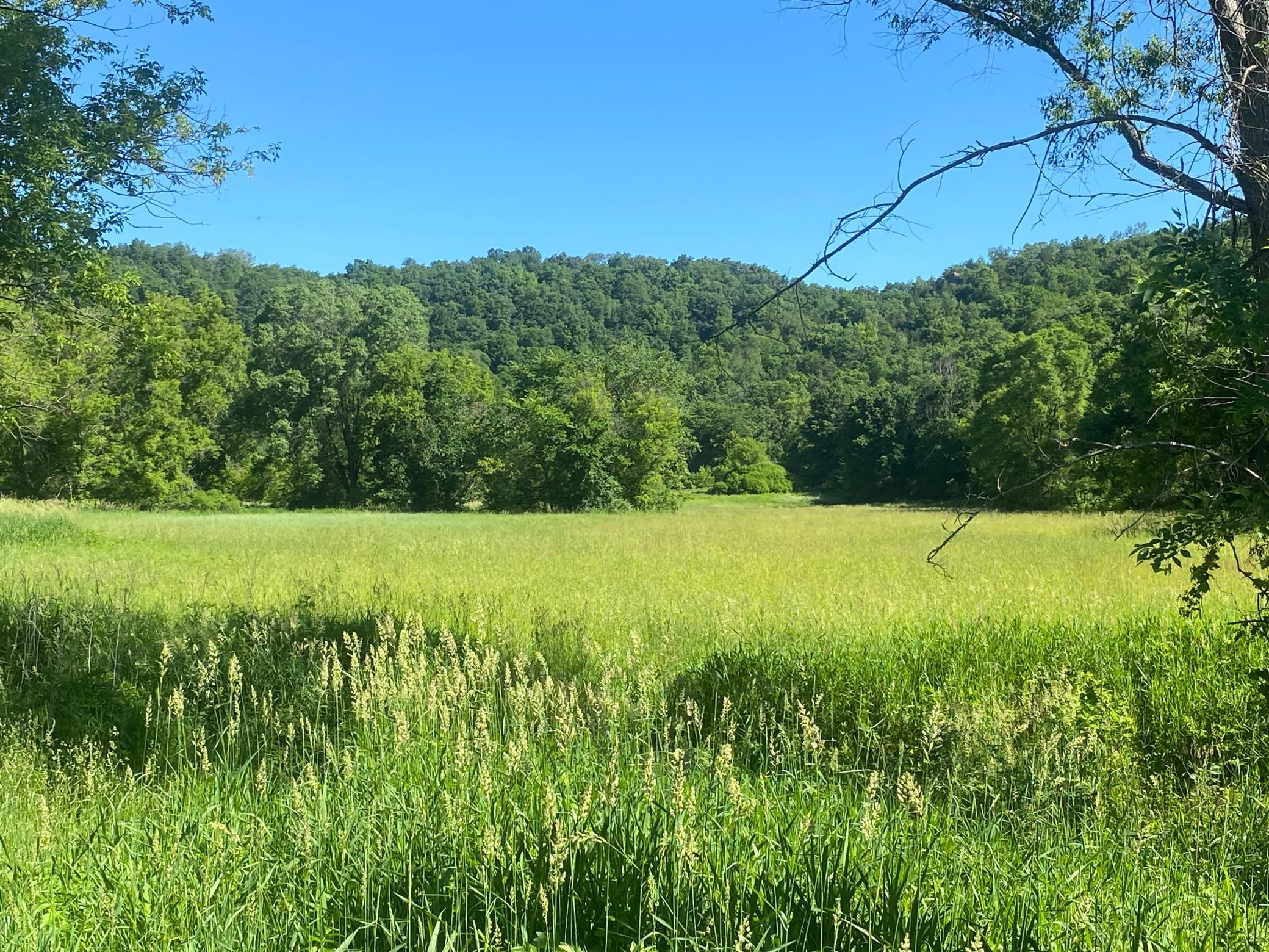 27333 Deep River Road Property Photo 2