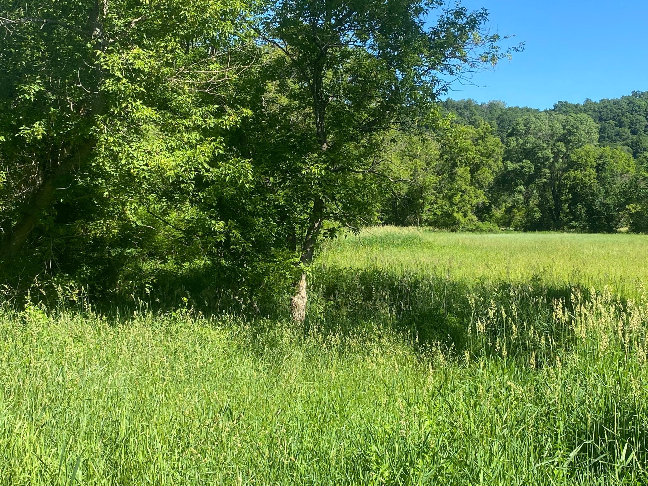 27333 Deep River Road Property Photo 5