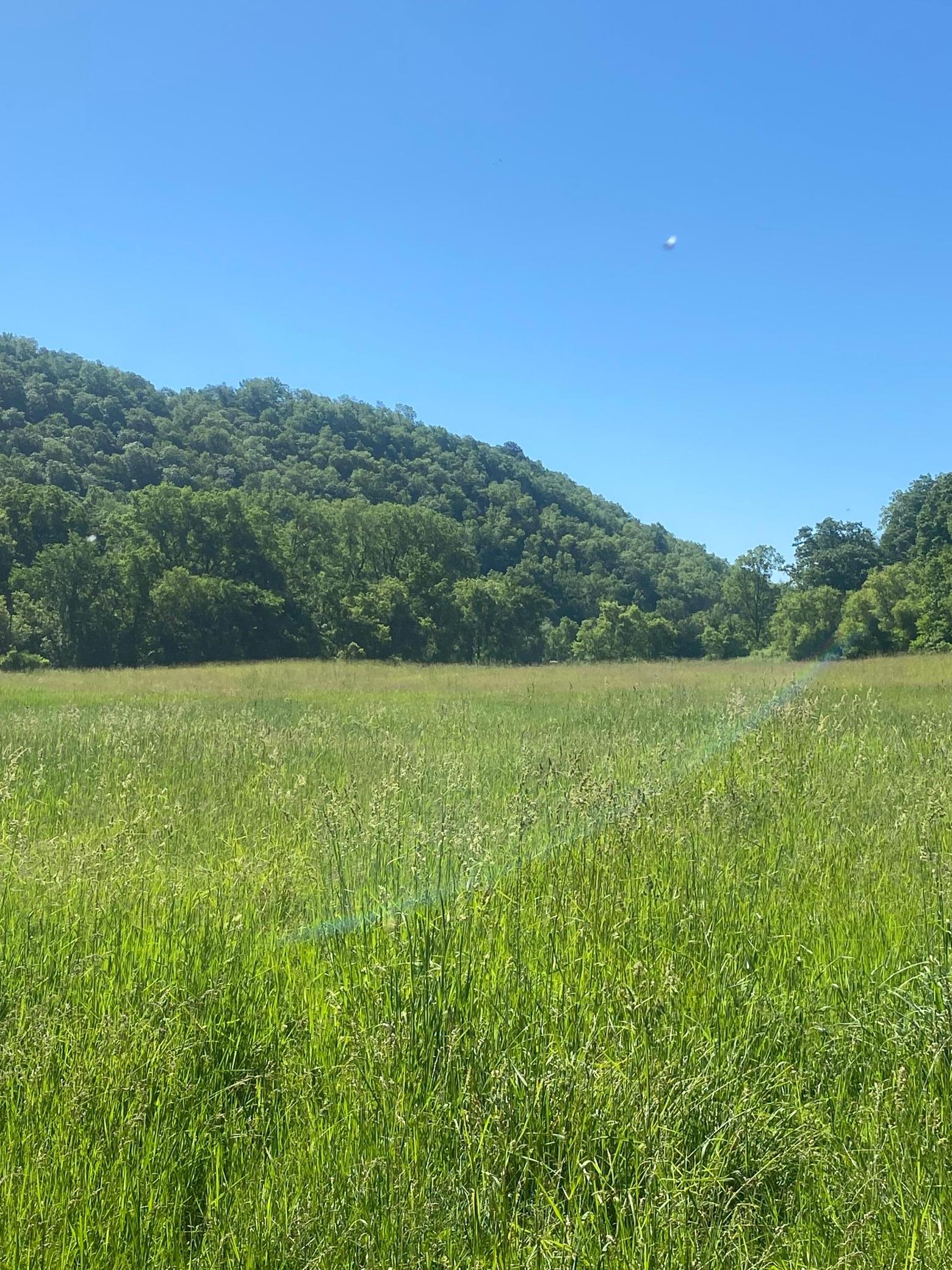 27333 Deep River Road Property Photo 7