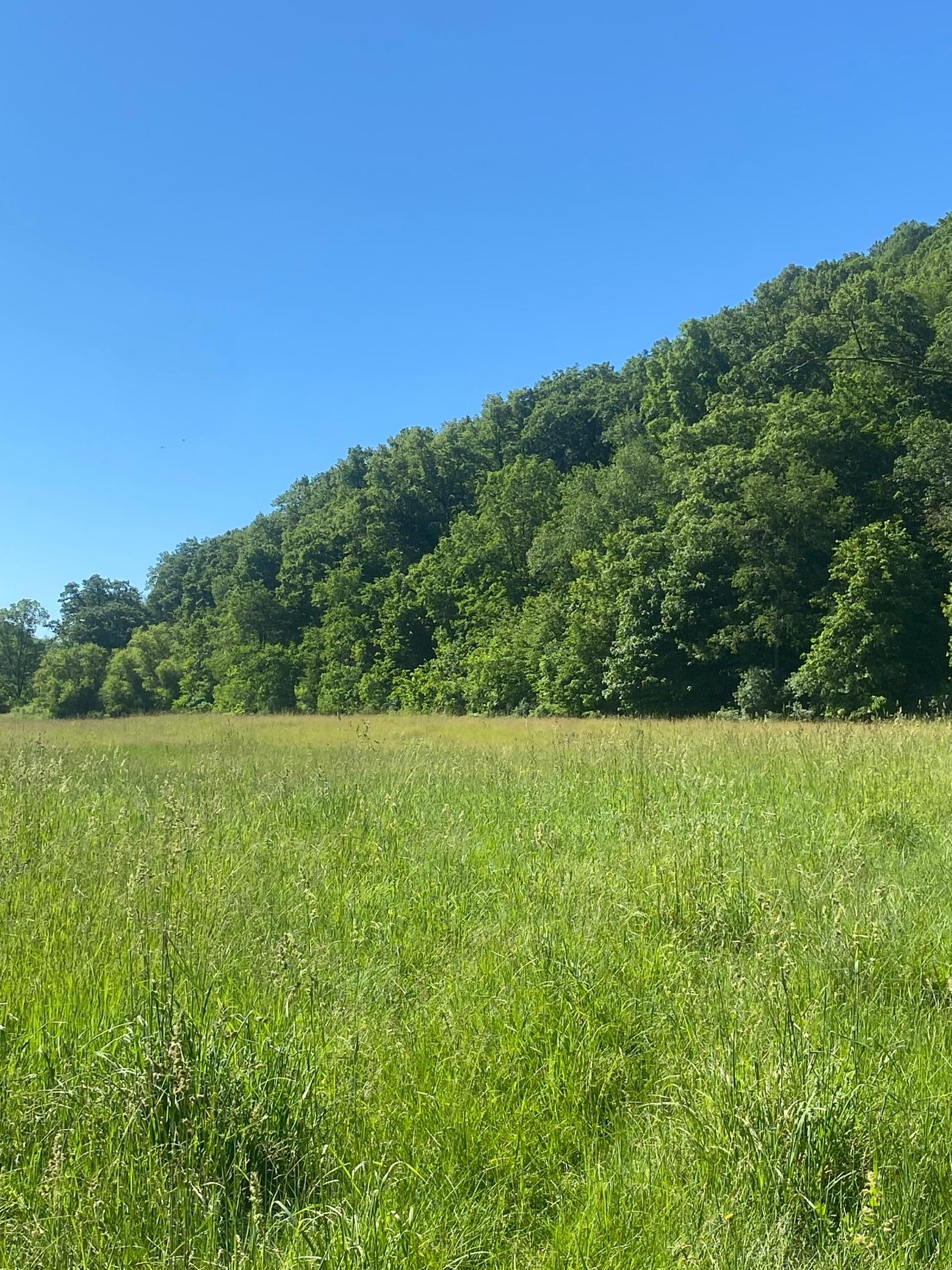 27333 Deep River Road Property Photo 8