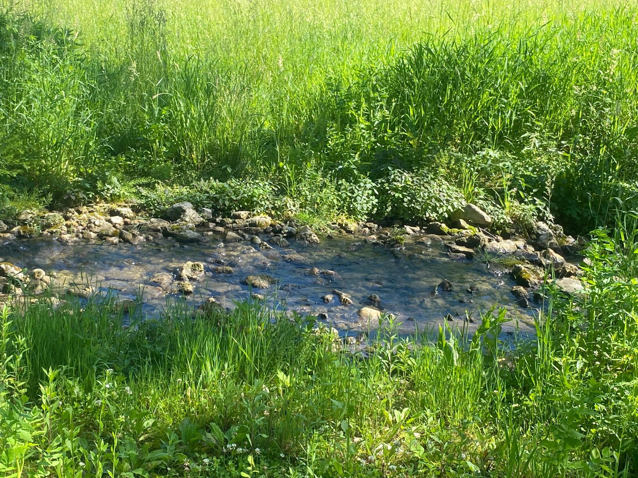 27333 Deep River Road Property Photo 9