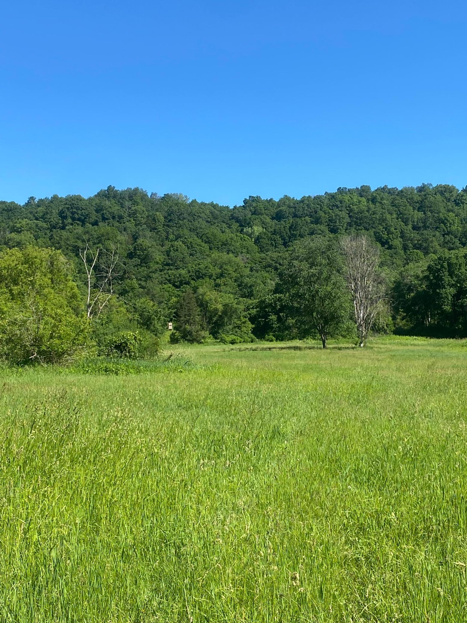 27333 Deep River Road Property Photo 12
