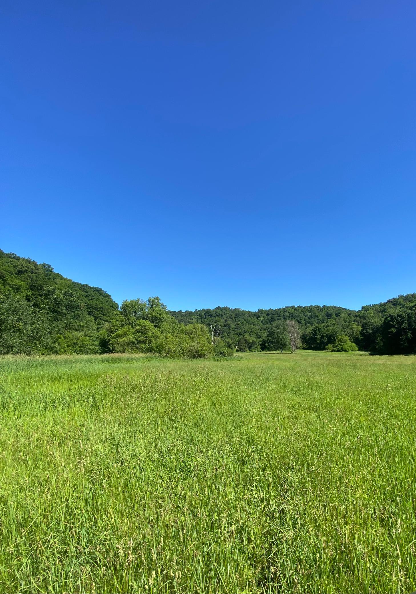 27333 Deep River Road Property Photo 13